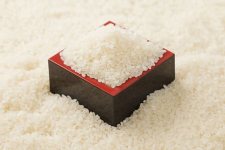 【令和6年産】【無洗米】あきたこまち5kg（5㎏×1袋）　50P9202