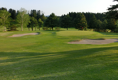 165P8401 【大館カントリークラブ】ゴルフプレー券1名様分