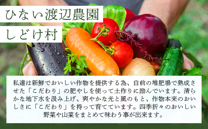 米野菜・山菜セット（5品目ほど） 115P3203