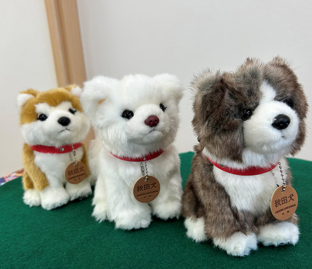 masa様　9月中旬予定　取り置き品 よちよちあきた＞秋田犬3種セットSサイズ（赤・白・虎