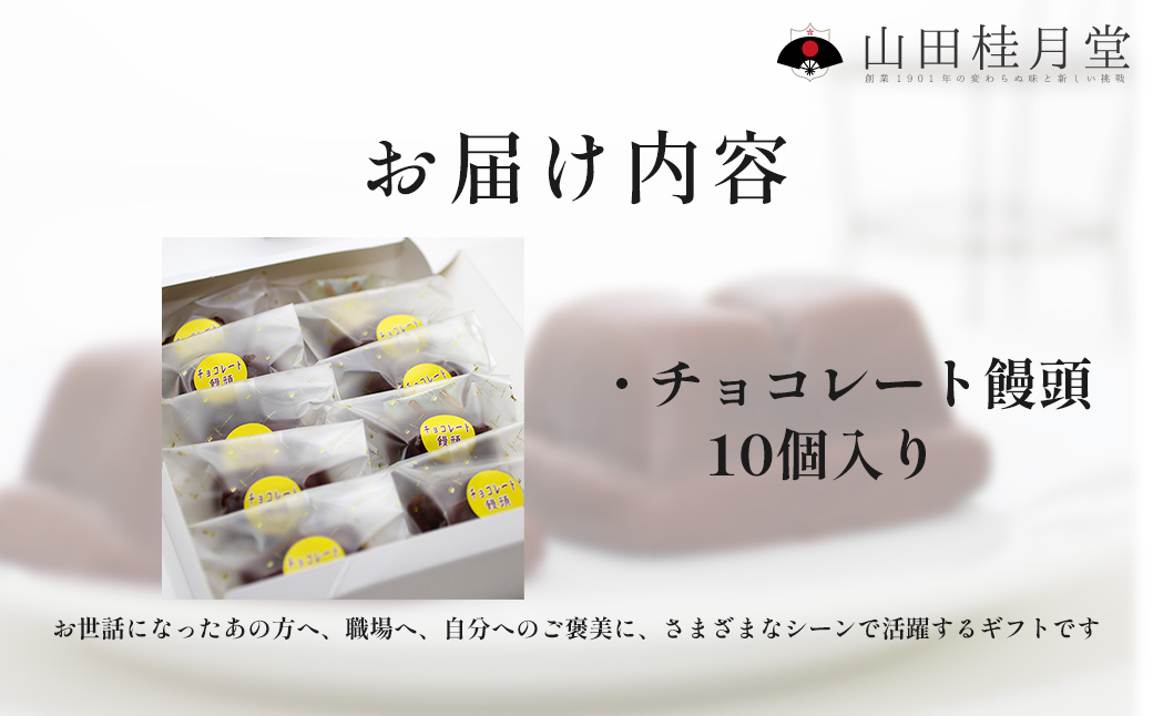 ＜山田桂月堂＞チョコレート饅頭　10個入り　40P5614