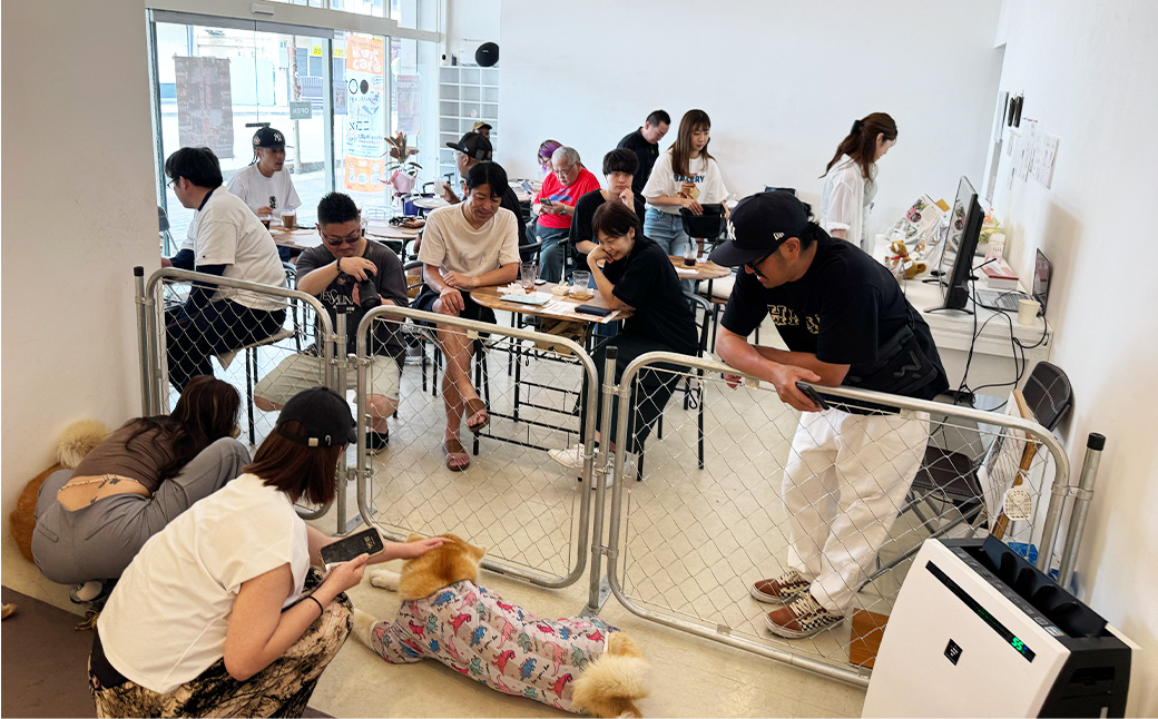 もふもふ秋田犬ふれあい体験30分 大人（中学生以上）　1名様（ふれあい10分・1ドリンク付）　【35P8401】