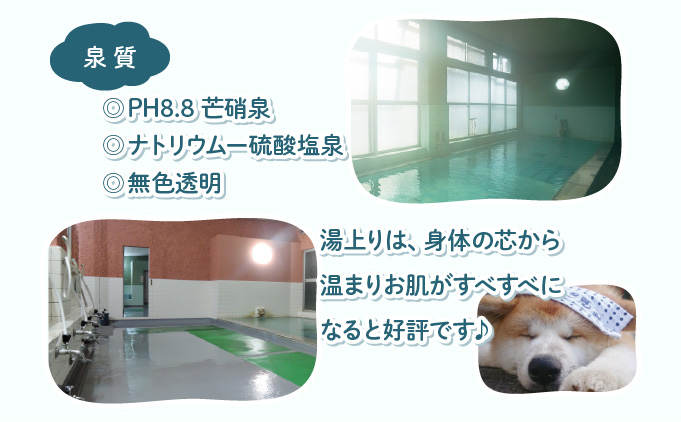 ふるさわおんせん回数券11回　75P8405