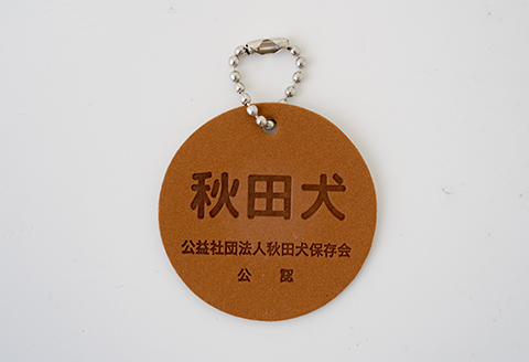 65P7304 秋田犬白毛(鼻黒)ぬいぐるみ　座りＭサイズ