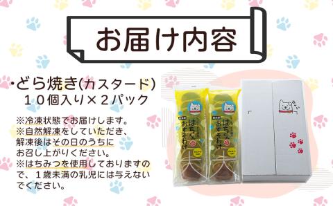 60P5605　冷凍しっとりどら焼きはちくん（カスタード）10個入り×2パック