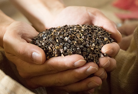 手造りきりたんぽと中山そば年越セット（２～３人前）　105P1511