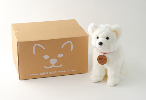 165P7304 秋田犬白毛(鼻黒)ぬいぐるみ　座りＬサイズ