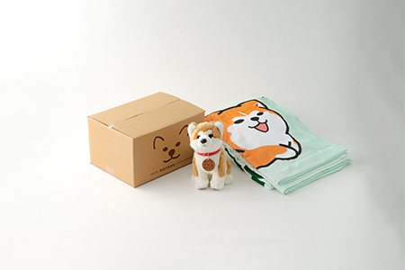 165P7308 秋田犬マサル　ぬいぐるみ座りＭサイズ＆タオルケット