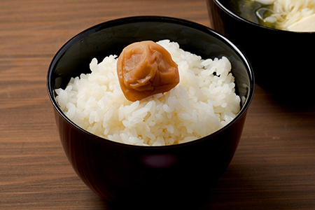 【令和6年産】【無洗米】あきたこまち5kg（5㎏×1袋）　50P9202