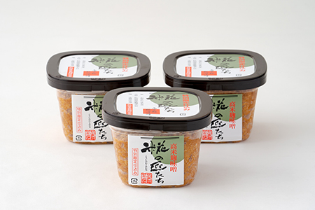 高米麹秋田味噌「麹の匠たち」セット　75P4001