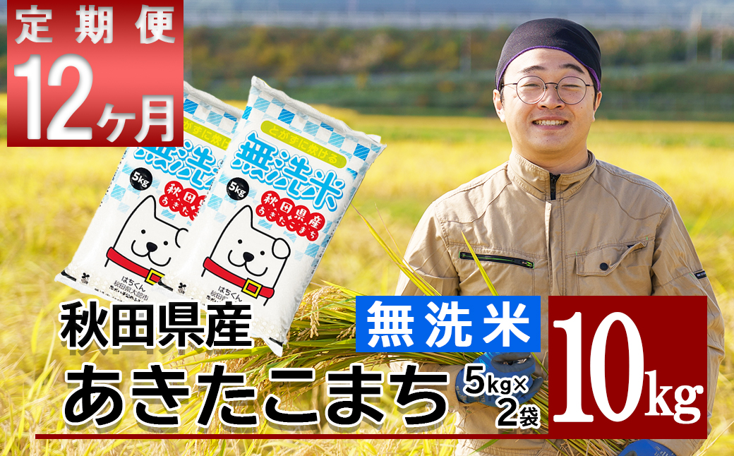 【定期便12ヶ月】秋田県産米「あきたこまち（無洗米）」 10kg（5kg×2袋）　1680P9201