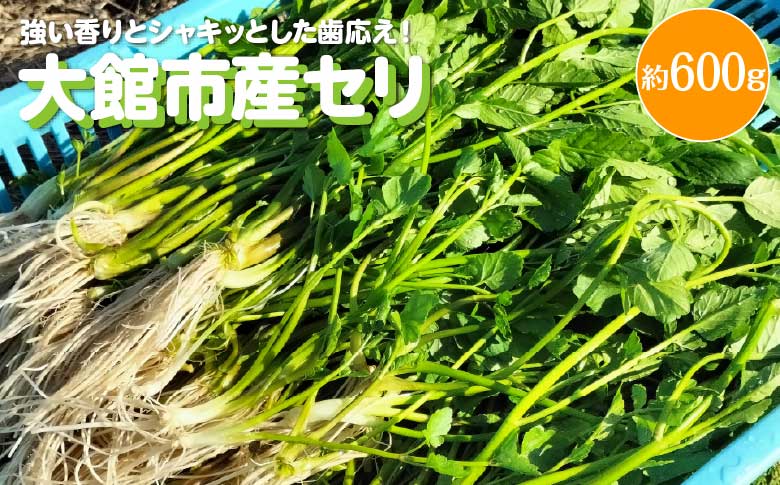 セリ 強い香りとシャキッとした歯応え 約600g　180P3202