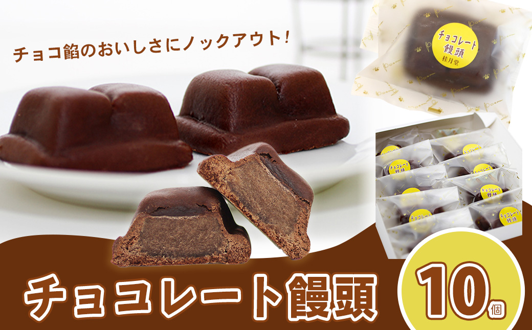 ＜山田桂月堂＞チョコレート饅頭　10個入り　40P5614