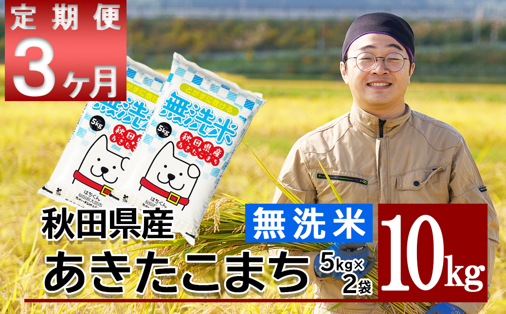 【定期便3ヶ月】秋田県産米「あきたこまち（無洗米）」 10kg（5kg×2袋）　420P9203