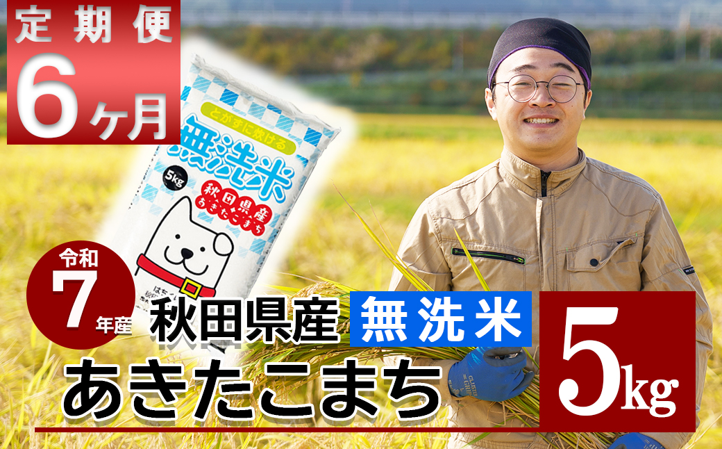 【定期便6ヶ月】＜新米先行受付＞令和7年産　秋田県産米「あきたこまち（無洗米）」 5kg（5kg×1袋）　450P9205