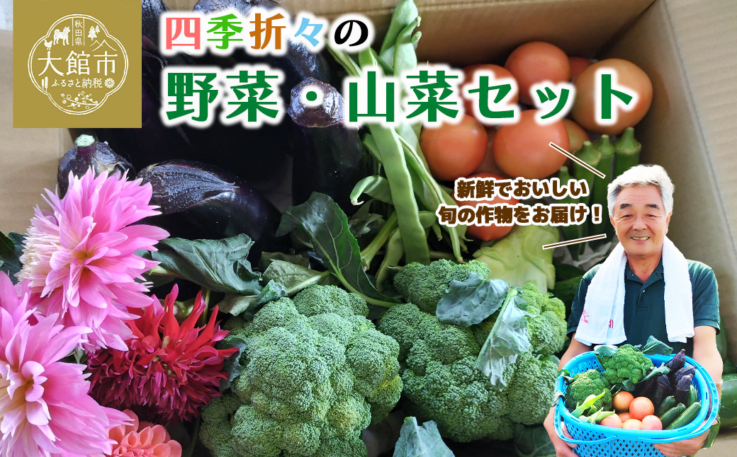 四季折々の野菜・山菜セット（5品目ほど） 45P3203: 大館市ANAのふるさと納税