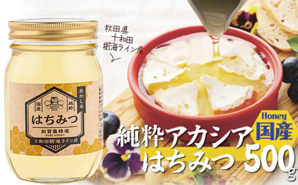 アカシア蜂蜜 500g　50P5409