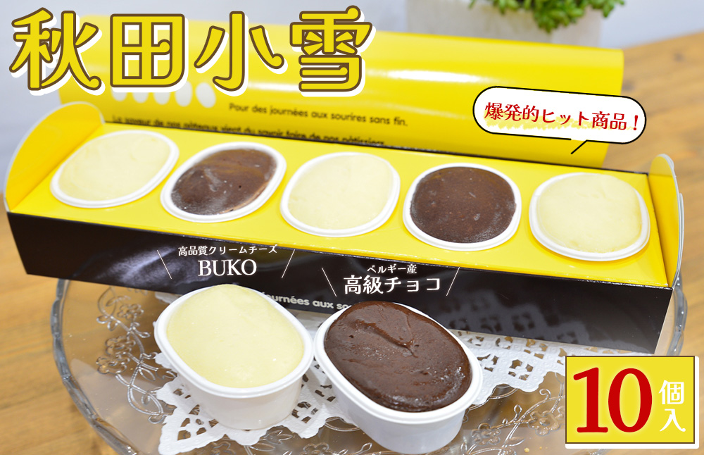 秋田小雪10個入 50P5625