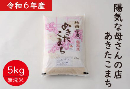 【令和6年産】【無洗米】あきたこまち5kg（5㎏×1袋）　50P9202