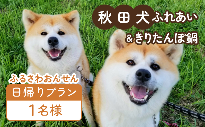 【日帰りプラン】秋田犬ふれあい体験ときりたんぽ定食　70P8402