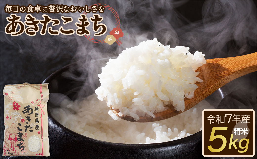【令和7年産】あきたこまち（精米）5kg(5kg×1袋)　【75P9016】
