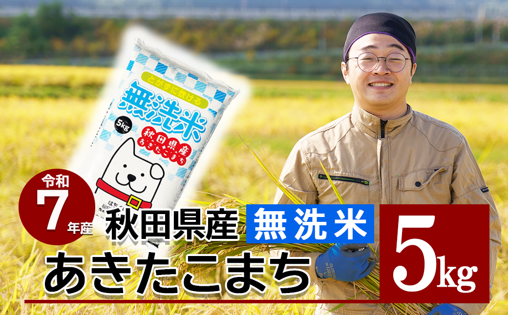 【令和7年産先行受付】秋田県産「あきたこまち（無洗米）」 5kg（5kg×1袋） 75P9203