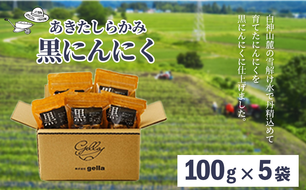 あきたしらかみ黒にんにく　5個セット　90P5703