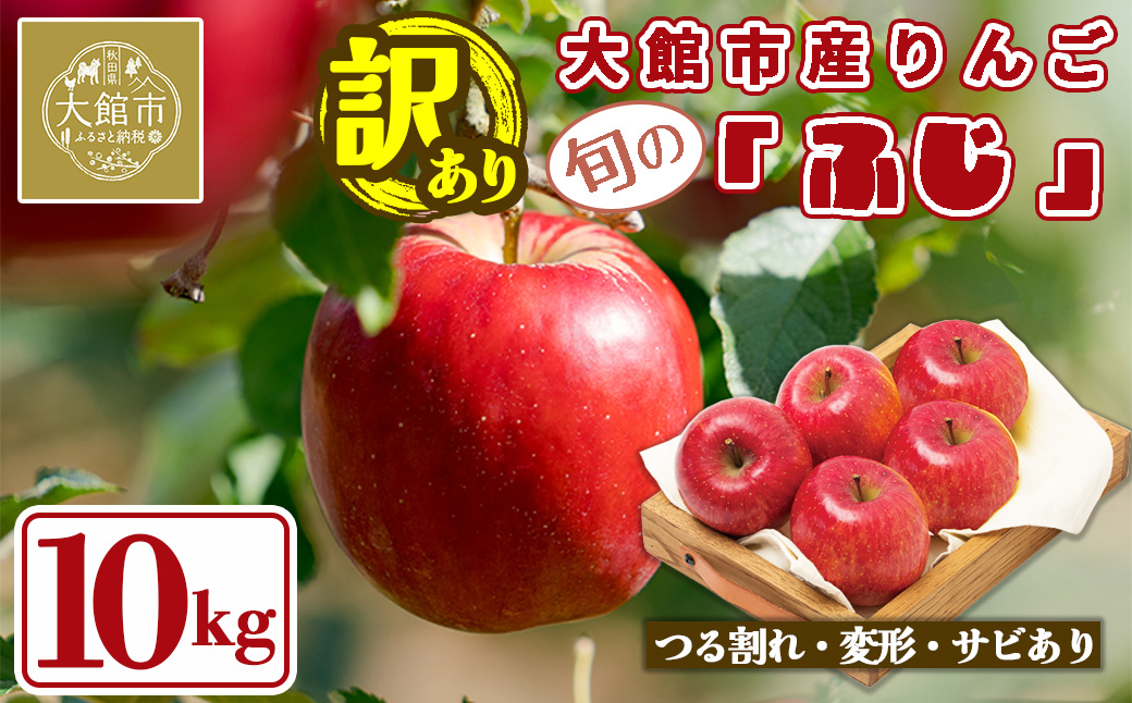 【数量限定・期間限定】95P3403　陽気な母さんの【訳あり】りんご「ふじ」　10kg