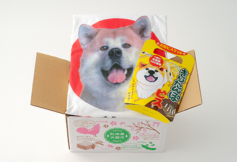 60P5704 秋田犬Tシャツときりたんぽビスのセット