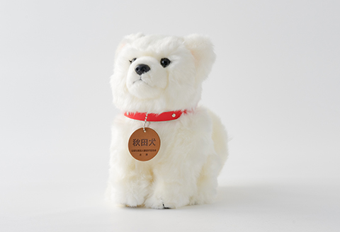 65P7304 秋田犬白毛(鼻黒)ぬいぐるみ　座りＭサイズ