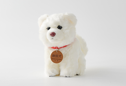 65P7305 秋田犬白毛(鼻ピンク)ぬいぐるみ　座りＭサイズ