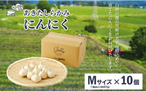 40P3215　あきたしらかみにんにく