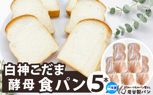 白神こだま酵母食パン（5本）　【45P3003】【岩谷製パン有限会社】