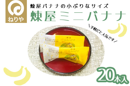 煉屋ミニバナナ20本入　65P5603