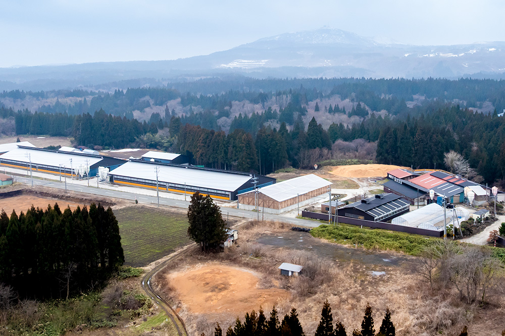 和牛なまはげ カタすきやき 300g 大進農場