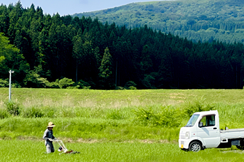【栽培期間中農薬不使用】令和7年産 あきたこまち 白米 5kg×2袋 ※MOA自然農法実施ほ場
