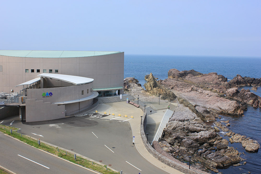 男鹿水族館GAOペア入館券 2名分 秋田県 ガオ 日本海 ペア