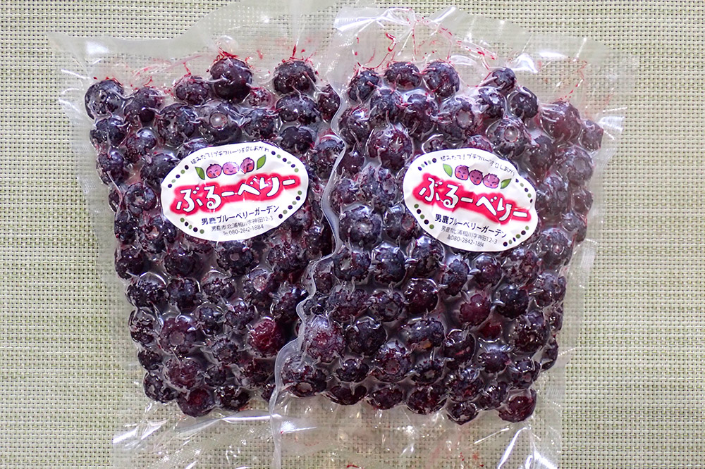 【男鹿ぶるーべりーガーデン】 冷凍ブルーベリー 250g×2パック（合計500g）秋田県 男鹿市