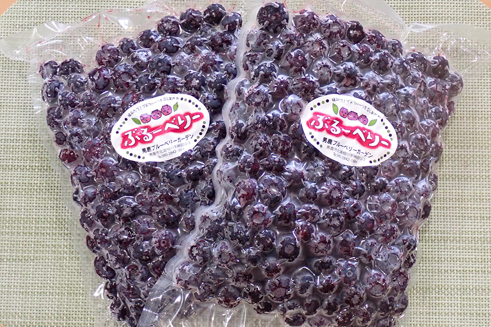 【男鹿ぶるーべりーガーデン】 冷凍ブルーベリー 500g×2パック（合計1kg）秋田県 男鹿市