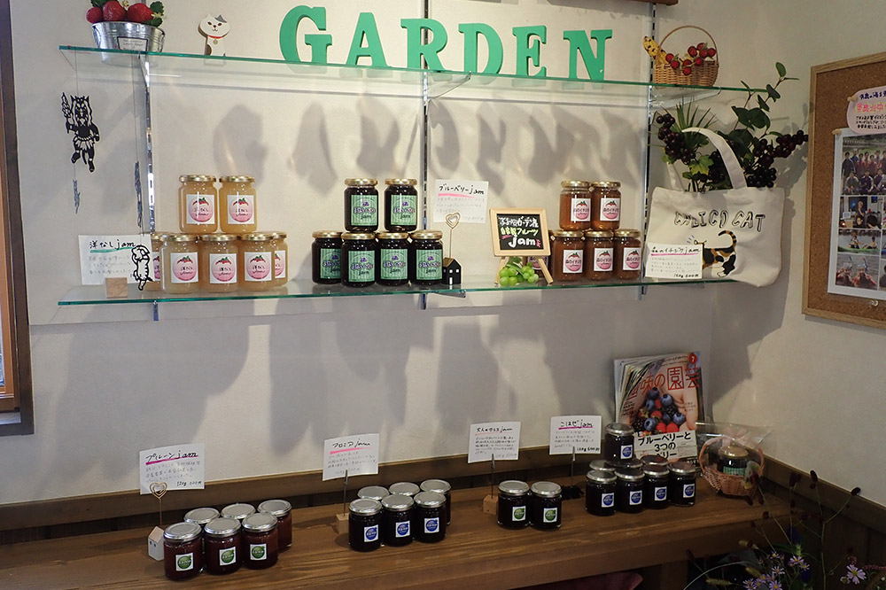 ブルーベリージャムと季節のおまかせジャムの詰合せ（合計6本）男鹿ぶるーべりーガーデン 秋田県 男鹿市