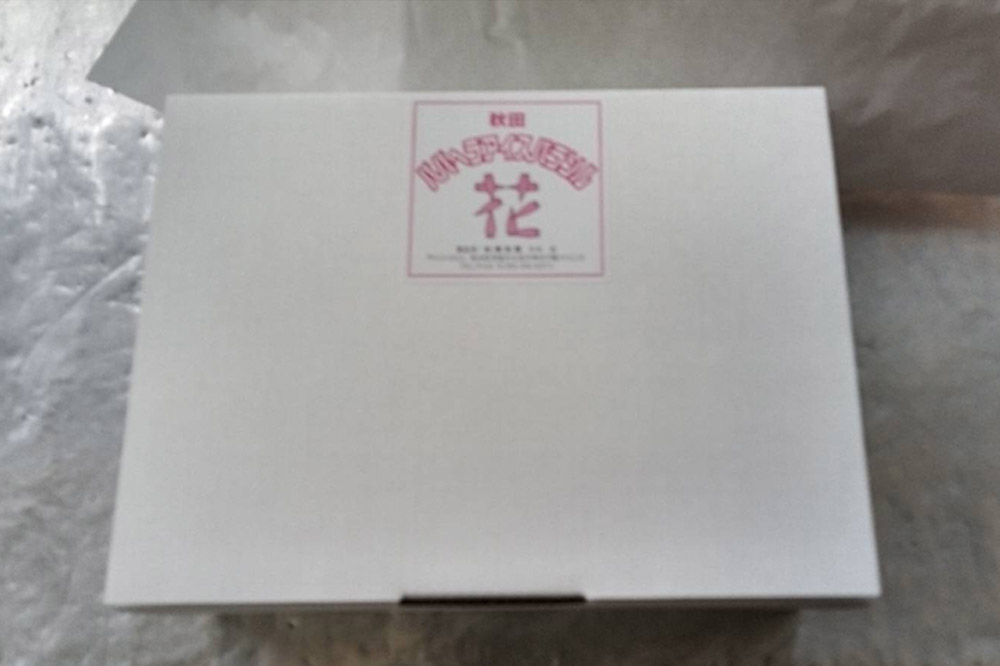 アイス 秋田ババヘラアイス パラソル 10個 花 秋田県 男鹿市 杉重冷菓 いちご バナナ