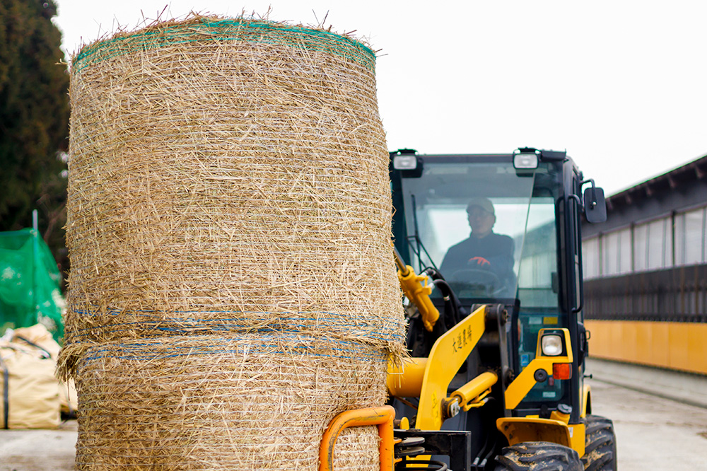 和牛なまはげ カタすきやき 300g 大進農場