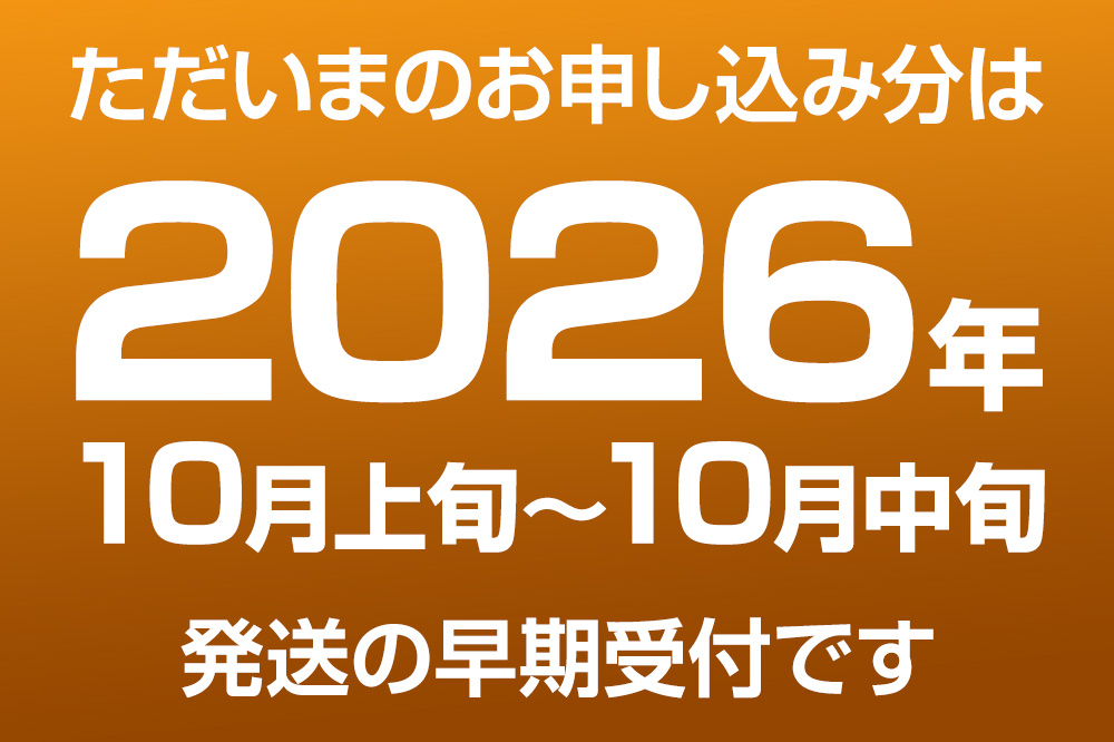 【先行受付】 男鹿梨 秋泉 梨 約5kg「伊藤梨園」  4L 11玉～12玉 秋田県 男鹿市