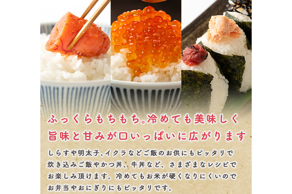 《定期便11ヶ月》令和7年産 【白米】秋田県産 あきたこまち 10kg（5kg×2袋）