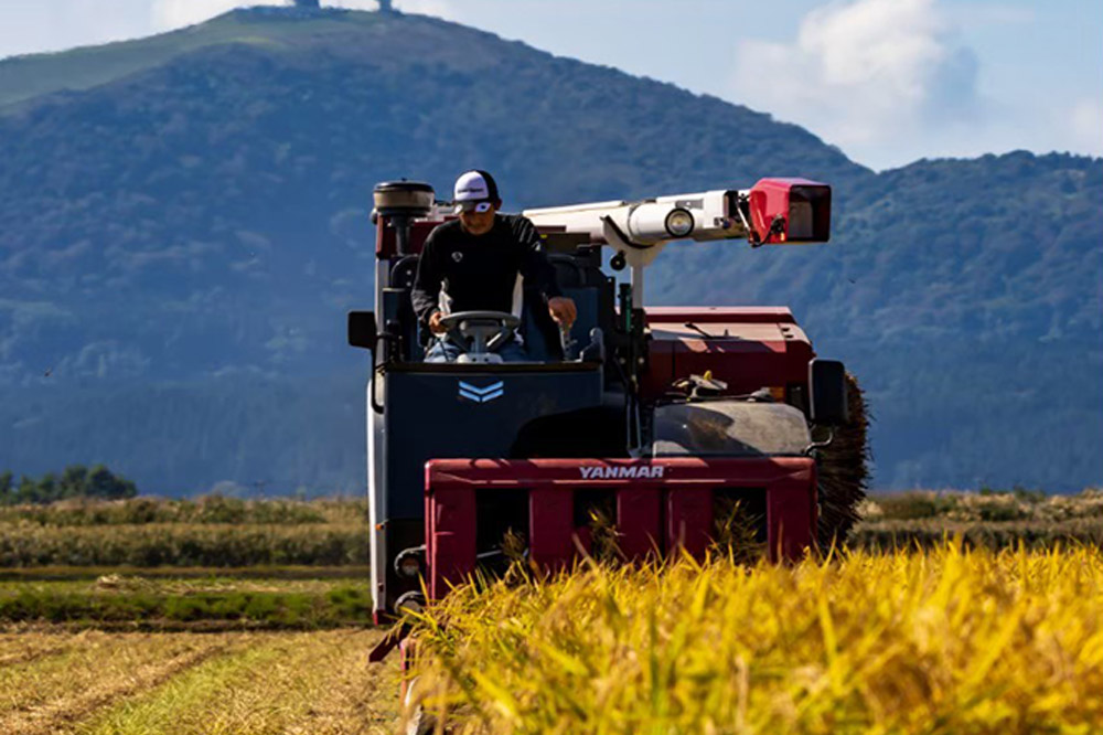 米 【定期便3ヶ月】令和7年産 あきたこまち 精米 10kg（5kg×2袋）3ヶ月連続発送（合計 30kg）秋田県 男鹿市