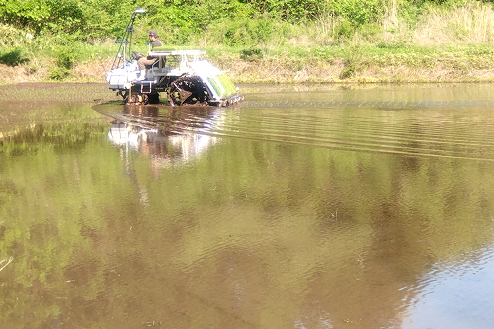《令和7年産》あきたこまち 精米 5kg 秋田県 男鹿市産 吉元耕業 おにぎり お弁当