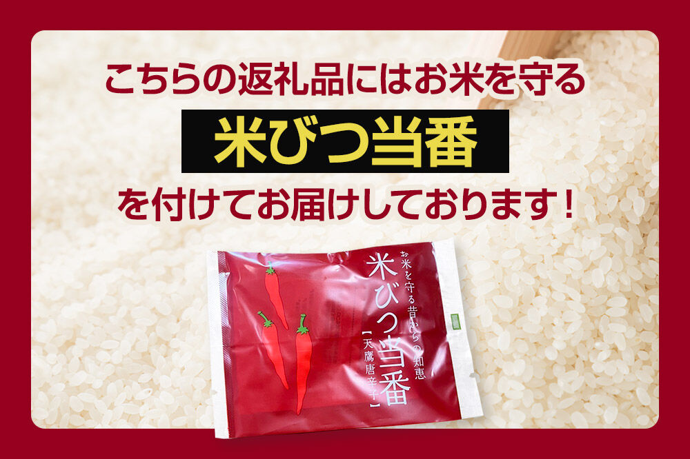 《令和8年産新米受付》 あきたこまち 精米 10kg（5kg×2袋） 【定期便3ヶ月】 吉元耕業 秋田県 男鹿市 [新米 あきたこまち ブランド米 お米 白米 精米 米どころ 秋田 男鹿市 秋田県産 あきたこまち ブランド米 お米 白米 精米 米どころ 秋田 男鹿市 秋田県産]