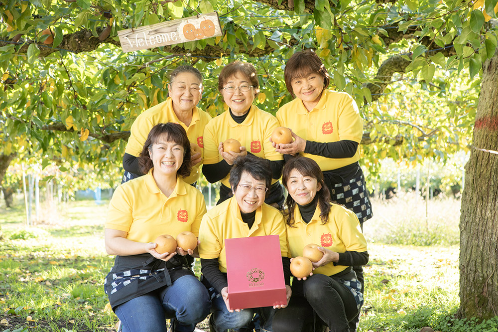 【令和8年度 早期受付】秋泉 梨 4玉 6L～ 梨 なし ナシ 秋田県 男鹿市 旬の果物 フルーツ