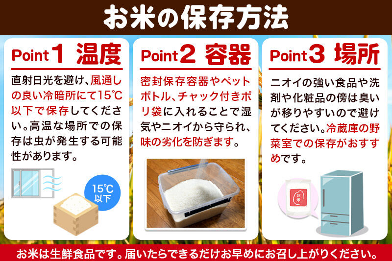 令和7年産 ミルキークイーン（精米）5kg（5kg×1袋）白米 こめ お米 秋田県 男鹿市 大進農場 [こめ 秋田 男鹿市 ミルキークイーン 白米]