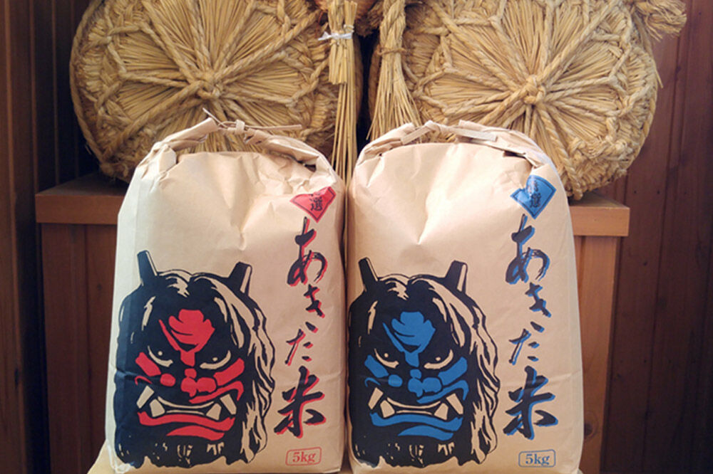米 令和7年産 あきたこまち 精米 単一原料米 10kg（5kg×2袋）秋田県 男鹿市